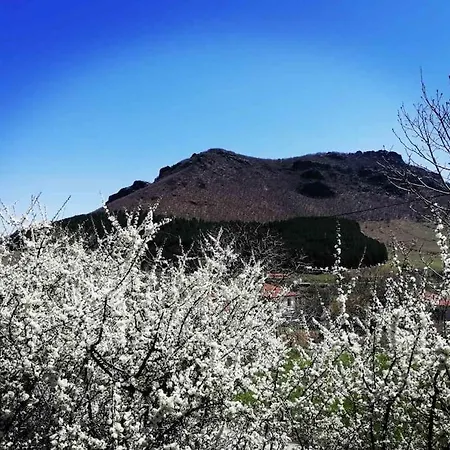 Anneta S Studiobear S Path *