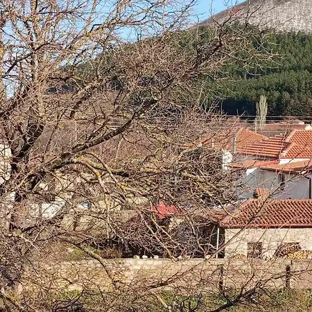 Anneta S Studiobear S Path Appartement