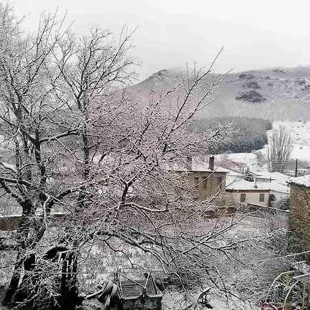 Anneta S Studiobear S Path *