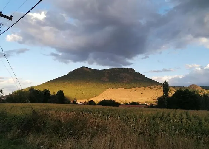 Anneta S Studiobear S Path Lejlighed *