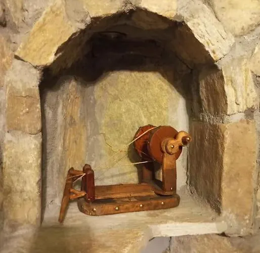 Anneta S Studiobear S Path