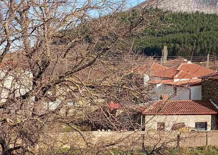 Anneta S Studiobear S Path Lejlighed