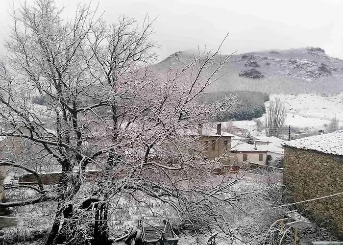 Anneta S Studiobear S Path *